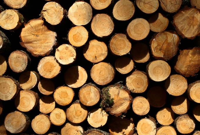 free log tree woodpile texture
