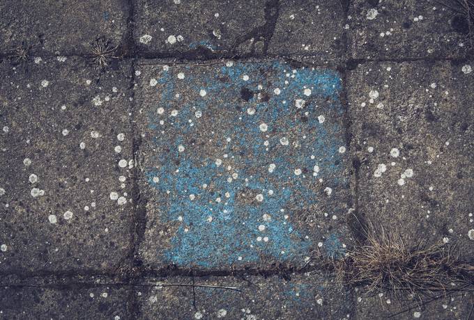 free Old Paving Tile texture