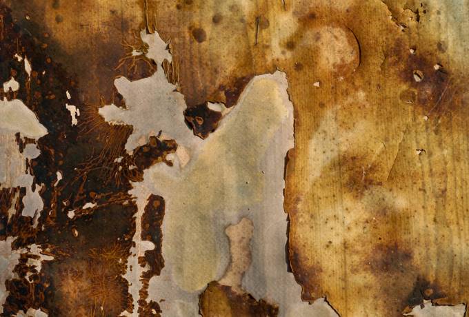 free weathered old dirty texture