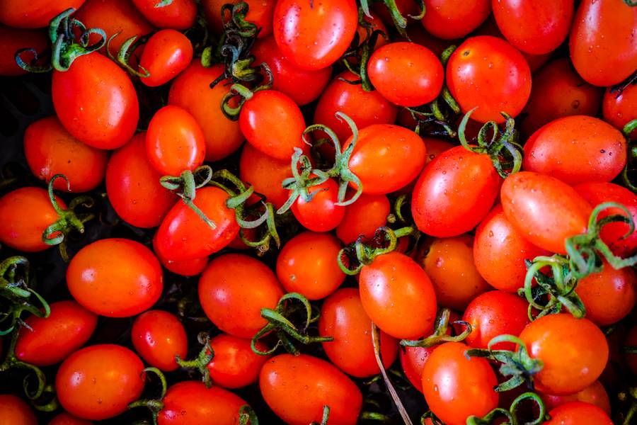 Fresh Organic Tomatoes free texture
