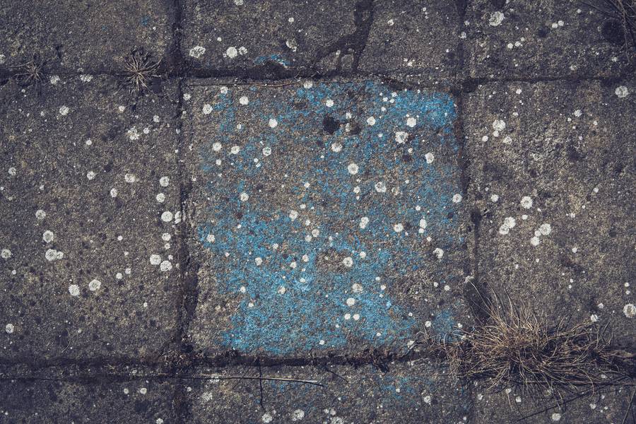 Old Paving Tile free texture