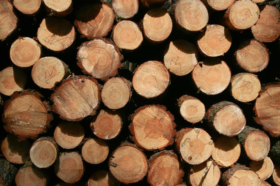 woodpile timber log free texture