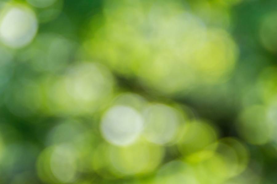 Green Blurred Bokeh free texture