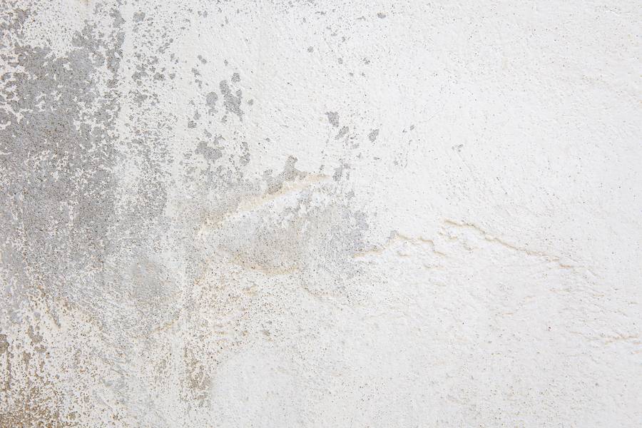 Grunge Plaster Wall free texture