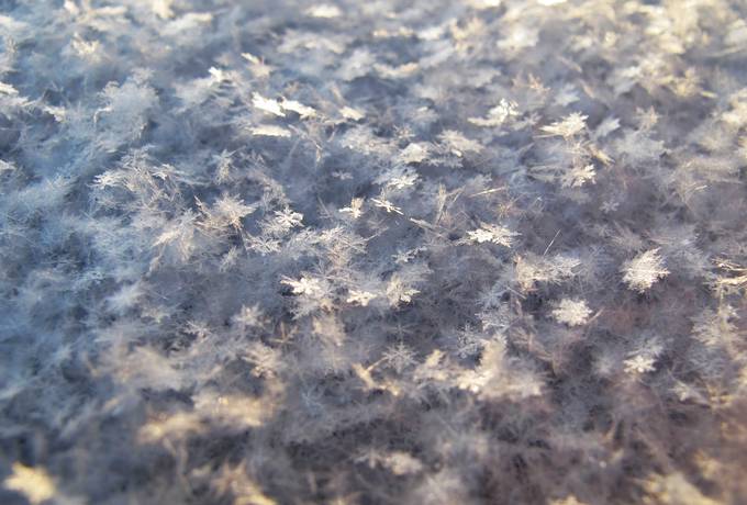 Texture of Surface Covered with Snowflakes