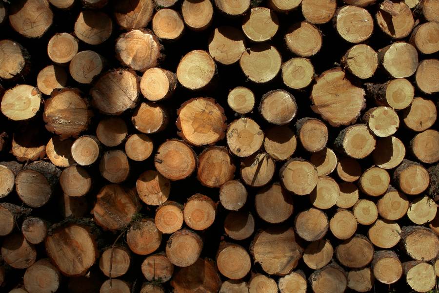 timber log wood free texture