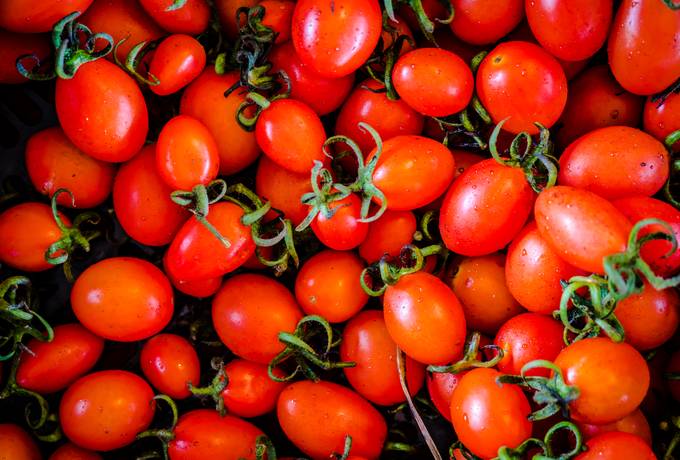 free Fresh Organic Tomatoes texture