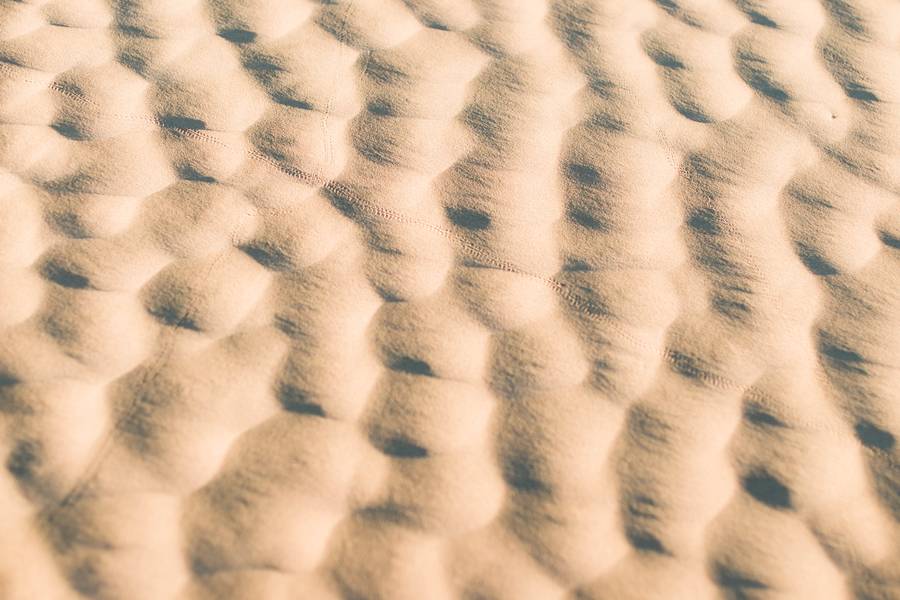 Sands of the Desert free texture