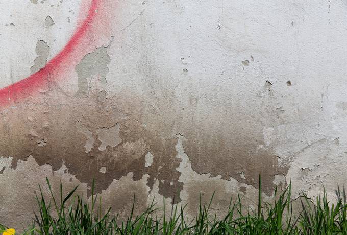 Grunge Dirty Wall and Grass texture