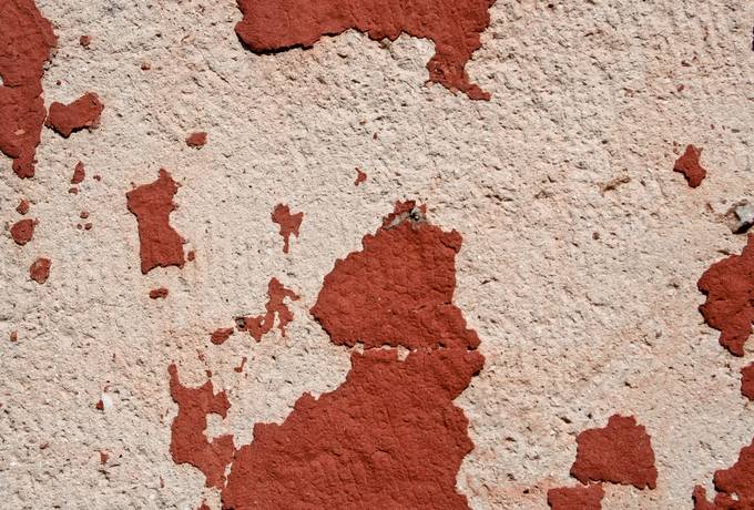 free plaster paint wall texture