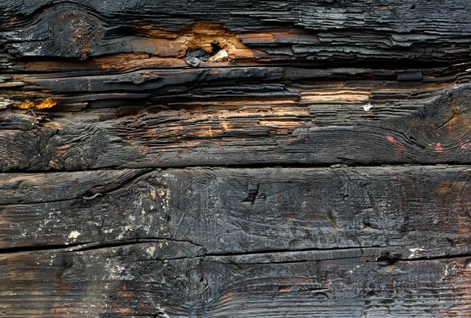 burnt wood plank