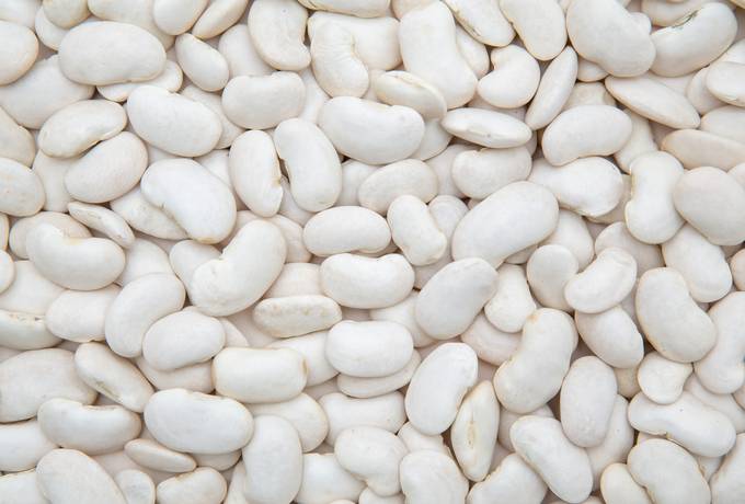 free White Beans texture