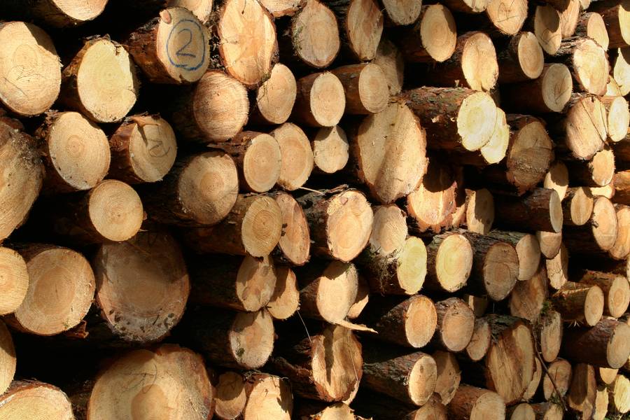 log timber wood free texture