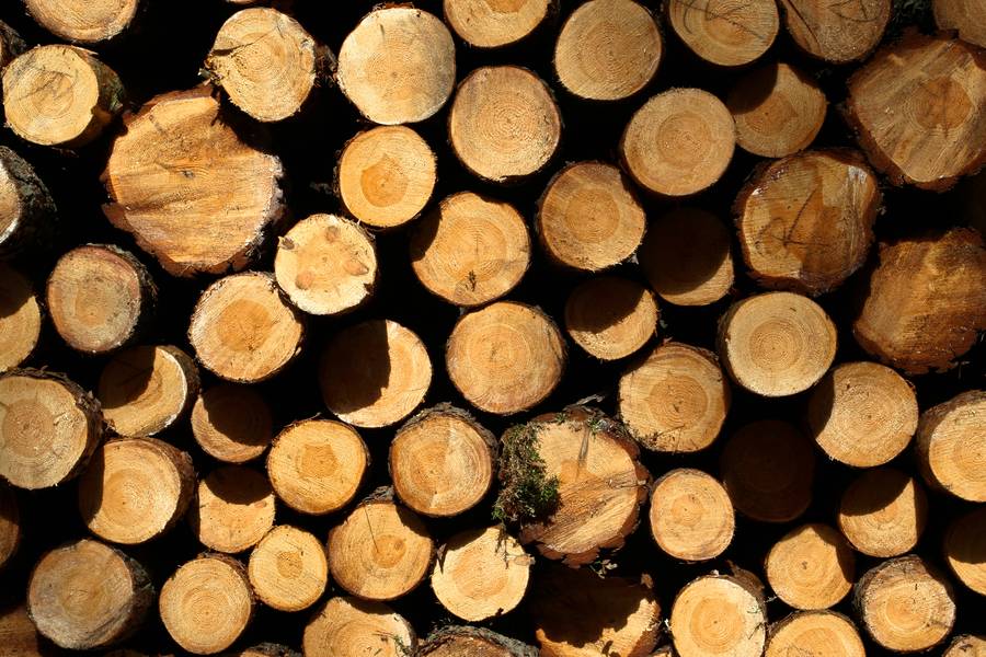 log tree woodpile free texture
