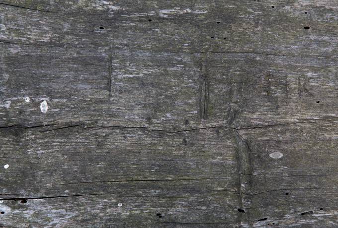 free old wood board texture