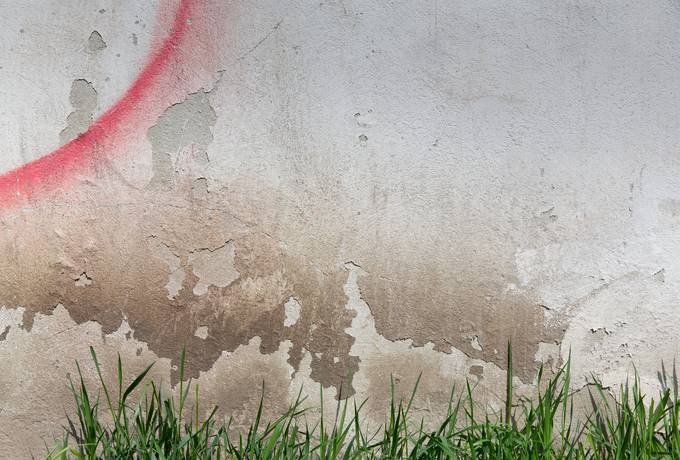 Grunge Wall and Grass texture