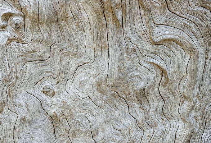 free Weathered Wood texture