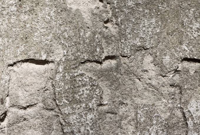 free plaster wall roughcast texture