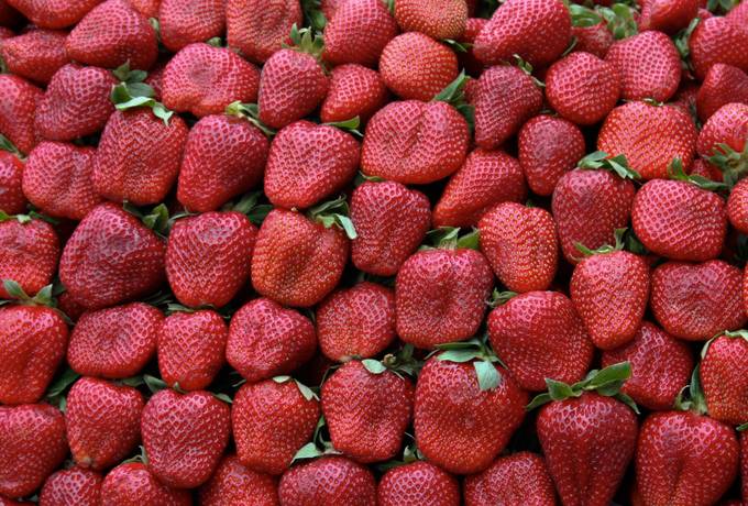 free strawberries nature food texture