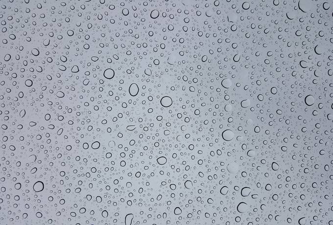 Water Drops on Gray Background