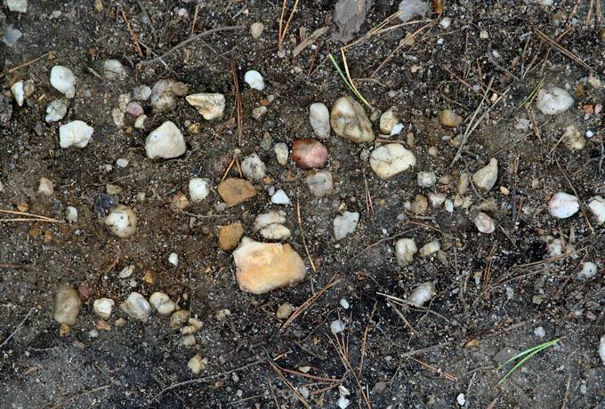 pebble ground dirt