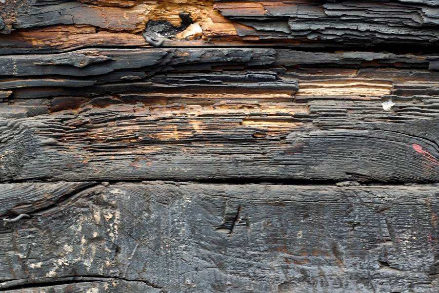 burnt wood plank free texture