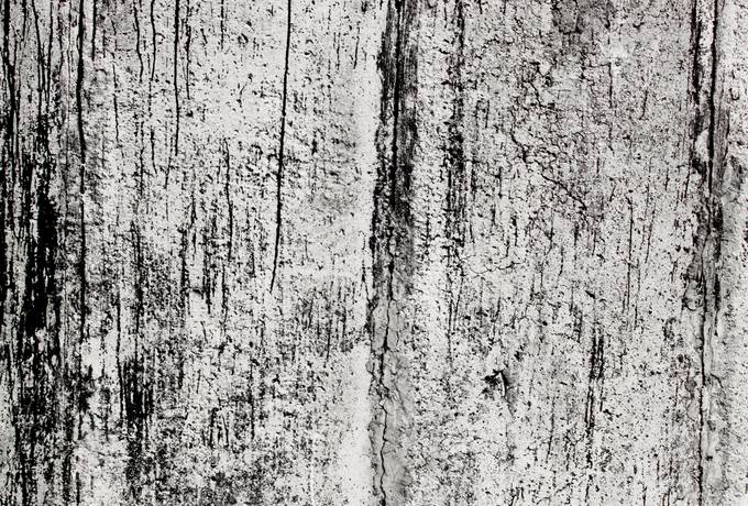 free concrete grunge wall texture