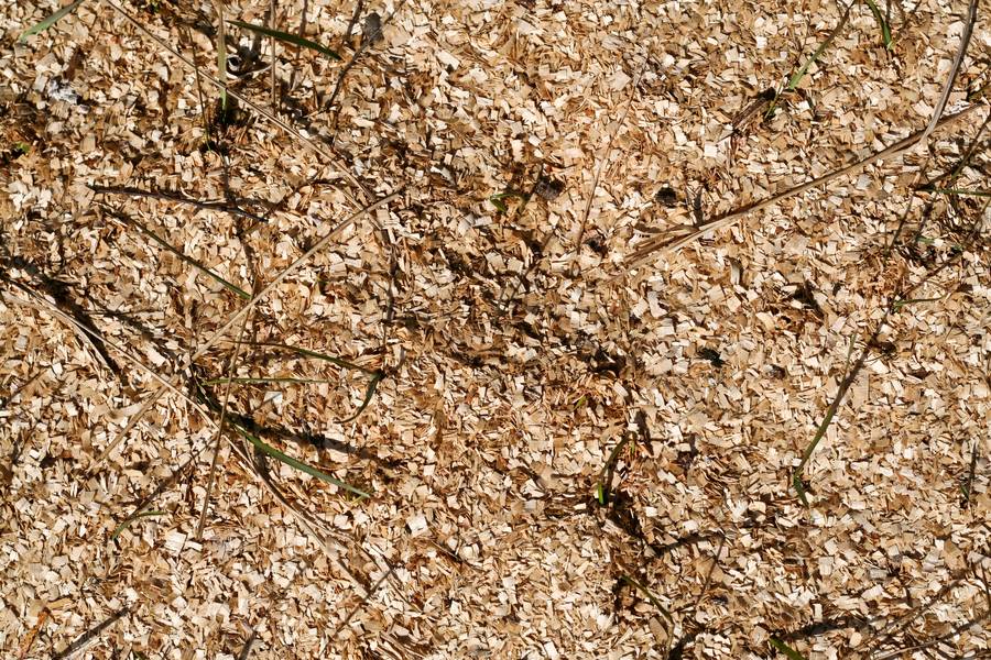 sawdust wood chips ground free texture