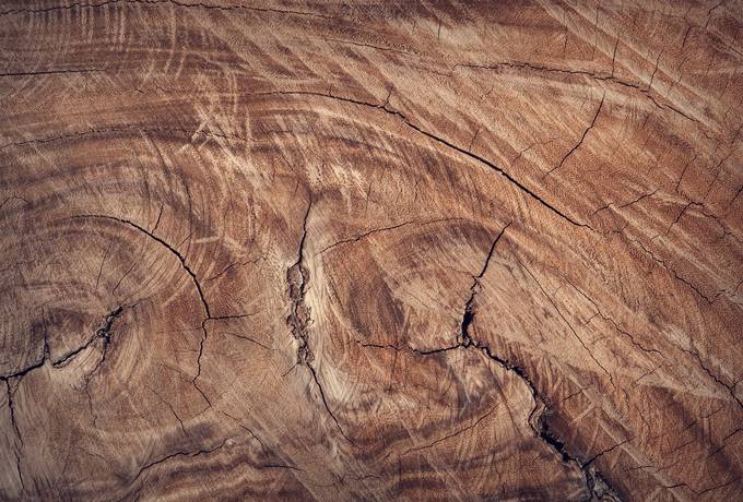 Close up of Brown Wood