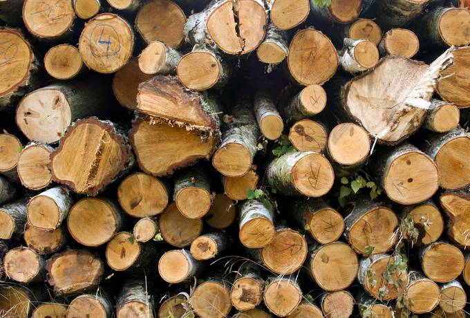 log woodpile wood