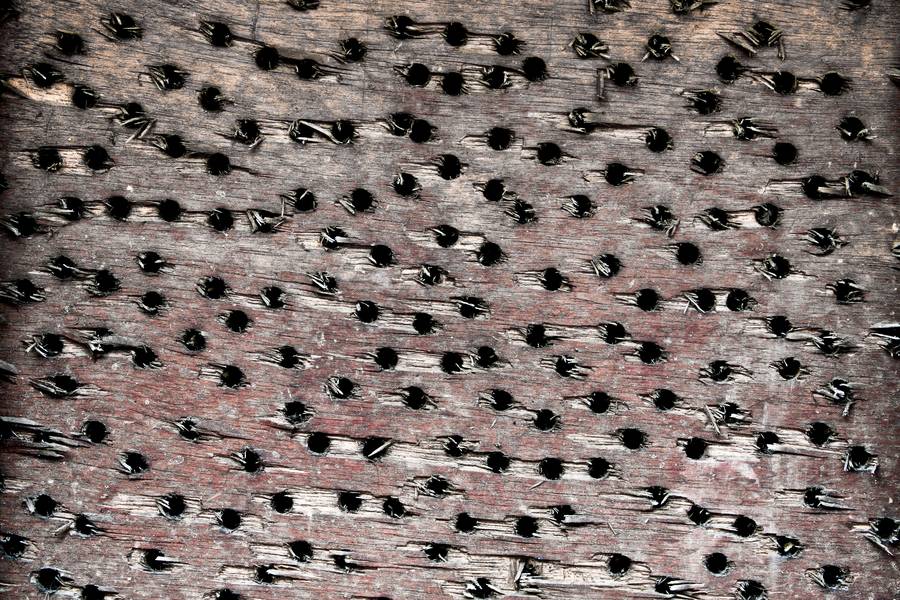weathered plywood holes free texture