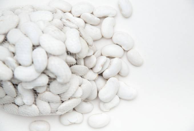 free Bag of white Beans texture