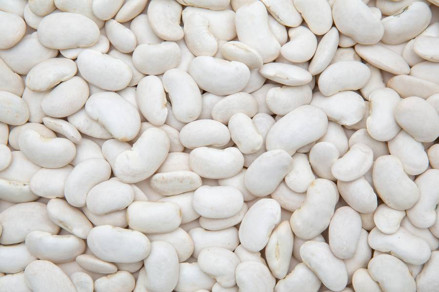 White Beans free texture