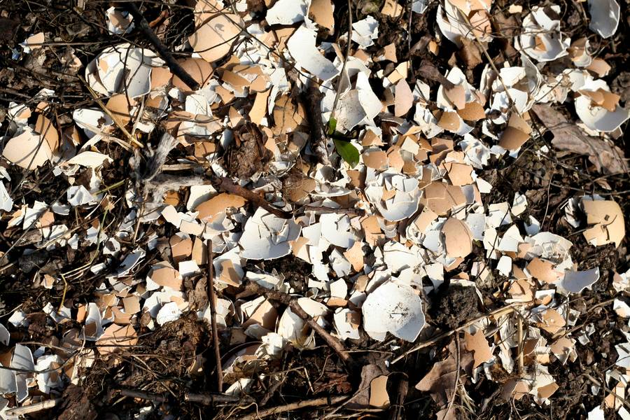 ground rubbish organic free texture
