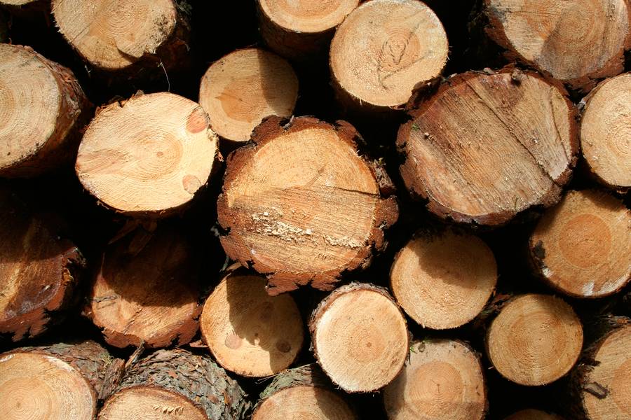 timber log woodpile free texture
